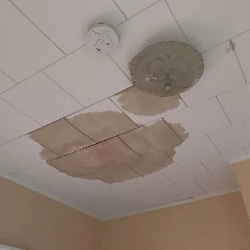 Ceiling Water Damage Repair in Pike County, GA